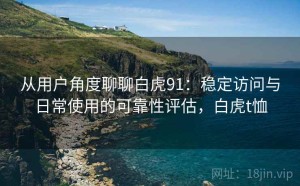 从用户角度聊聊白虎91：稳定访问与日常使用的可靠性评估，白虎t恤