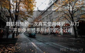 蘑菇视频的一次真实使用体验：从打开到使用顺手所经历的全过程