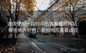 连续使用一段时间后再看蘑菇网站：哪些地方好用，哪些地方需要适应