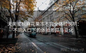 天美蜜桃麻花果冻不完全体验说明：不同入口下的体验差异与变化