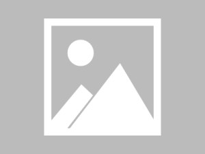 长期使用天美蜜桃麻花果冻后的变化体会：访问方式、内容分布与整体使用感受