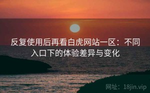 反复使用后再看白虎网站一区：不同入口下的体验差异与变化