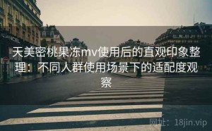 天美密桃果冻mv使用后的直观印象整理：不同人群使用场景下的适配度观察