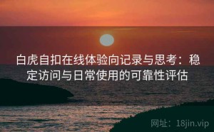白虎自扣在线体验向记录与思考：稳定访问与日常使用的可靠性评估