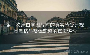 第一次用白虎图片时的真实感受：视觉风格与整体观感的真实评价