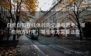 白虎自扣在线体验向记录与思考：哪些地方好用，哪些地方需要适应