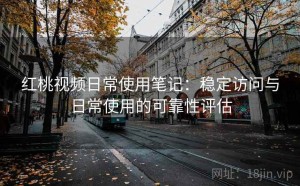 红桃视频日常使用笔记：稳定访问与日常使用的可靠性评估