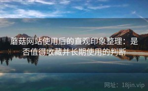 蘑菇网站使用后的直观印象整理：是否值得收藏并长期使用的判断