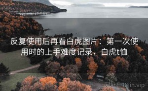 反复使用后再看白虎图片：第一次使用时的上手难度记录，白虎t恤