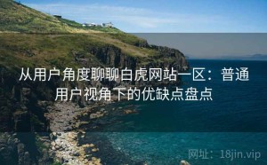从用户角度聊聊白虎网站一区：普通用户视角下的优缺点盘点