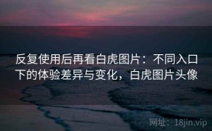 反复使用后再看白虎图片：不同入口下的体验差异与变化，白虎图片头像