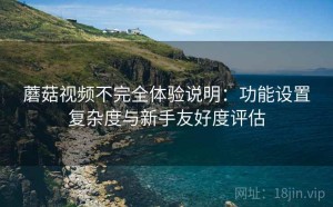 蘑菇视频不完全体验说明：功能设置复杂度与新手友好度评估