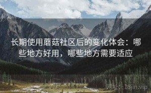 长期使用蘑菇社区后的变化体会：哪些地方好用，哪些地方需要适应