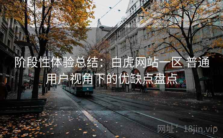 阶段性体验总结：白虎网站一区 普通用户视角下的优缺点盘点