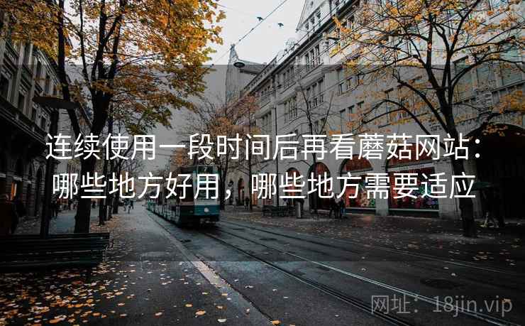 连续使用一段时间后再看蘑菇网站：哪些地方好用，哪些地方需要适应