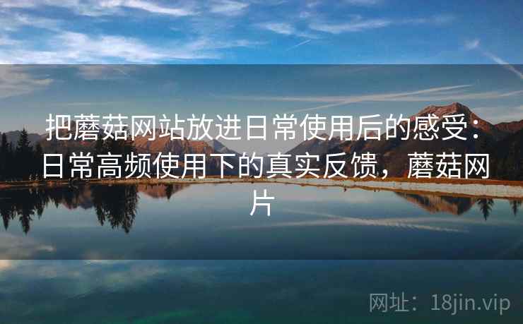 把蘑菇网站放进日常使用后的感受：日常高频使用下的真实反馈，蘑菇网片