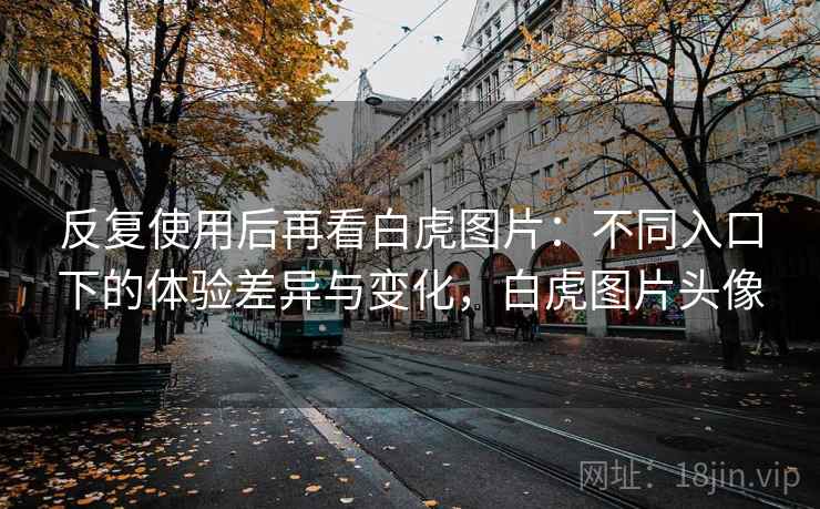 反复使用后再看白虎图片：不同入口下的体验差异与变化，白虎图片头像