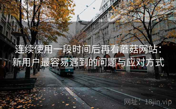 连续使用一段时间后再看蘑菇网站：新用户最容易遇到的问题与应对方式
