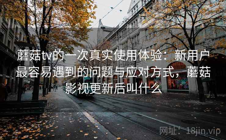 蘑菇tv的一次真实使用体验：新用户最容易遇到的问题与应对方式，蘑菇影视更新后叫什么