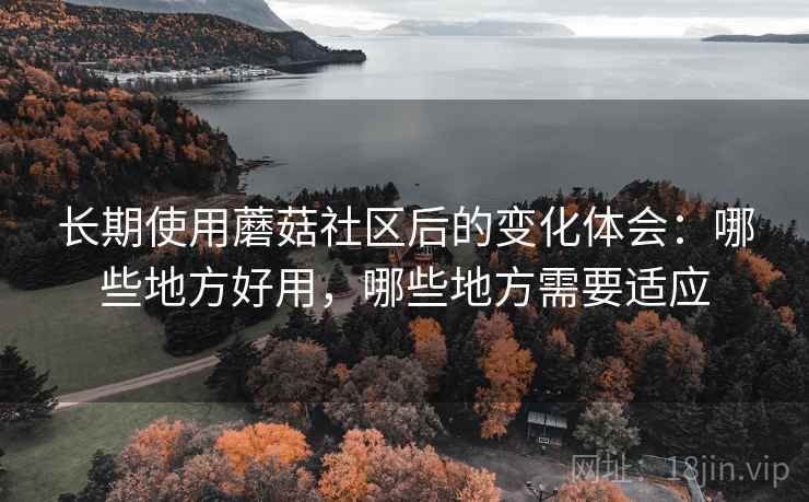 长期使用蘑菇社区后的变化体会：哪些地方好用，哪些地方需要适应