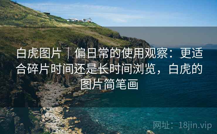 白虎图片｜偏日常的使用观察：更适合碎片时间还是长时间浏览，白虎的图片简笔画