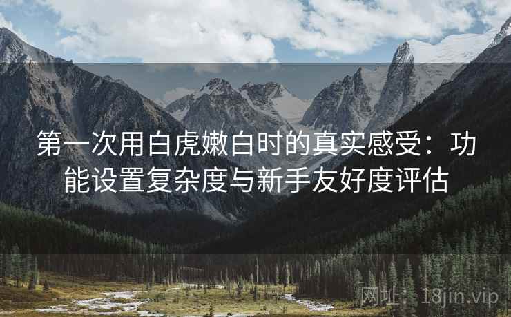 第一次用白虎嫩白时的真实感受：功能设置复杂度与新手友好度评估