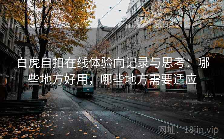 白虎自扣在线体验向记录与思考：哪些地方好用，哪些地方需要适应
