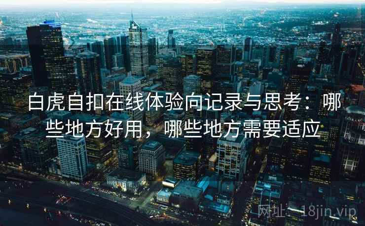 白虎自扣在线体验向记录与思考：哪些地方好用，哪些地方需要适应