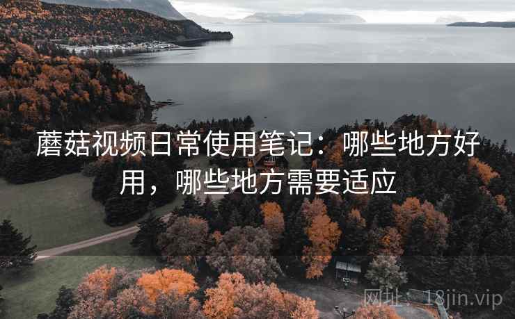 蘑菇视频日常使用笔记：哪些地方好用，哪些地方需要适应