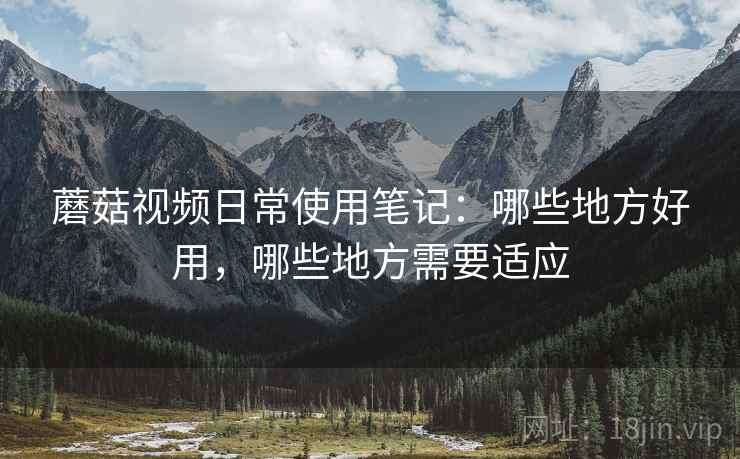 蘑菇视频日常使用笔记：哪些地方好用，哪些地方需要适应