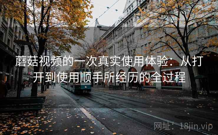 蘑菇视频的一次真实使用体验：从打开到使用顺手所经历的全过程