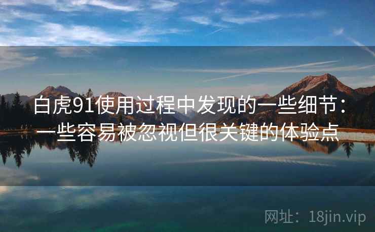 白虎91使用过程中发现的一些细节：一些容易被忽视但很关键的体验点